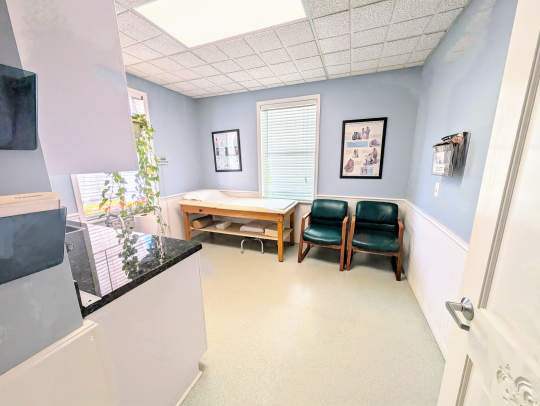 PXL_20250708_154234600~2